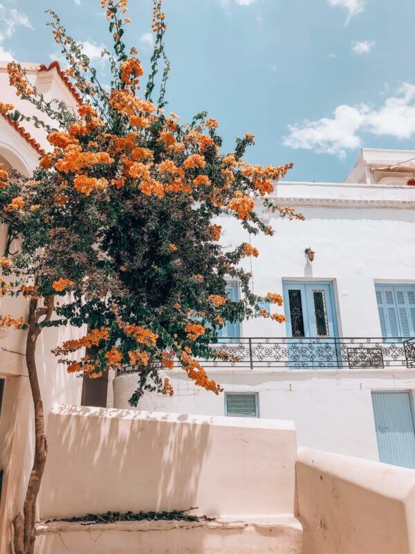 The streets of Tinos